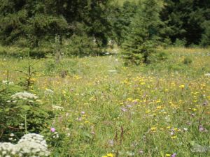 ua1300720wandeltocht22.JPG